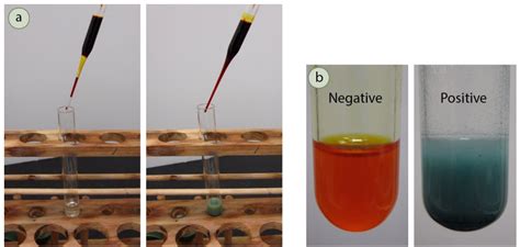 chromic acid test|how to neutralize chromic acid.